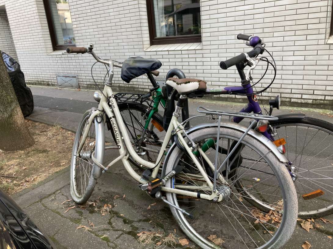 Bild zu gemeldetem Anliegen vom *2024-08-31 18:30:03