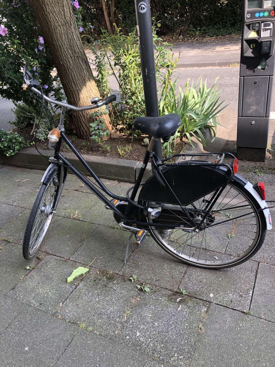 Bild zu gemeldetem Anliegen vom *2024-08-20 11:55:54