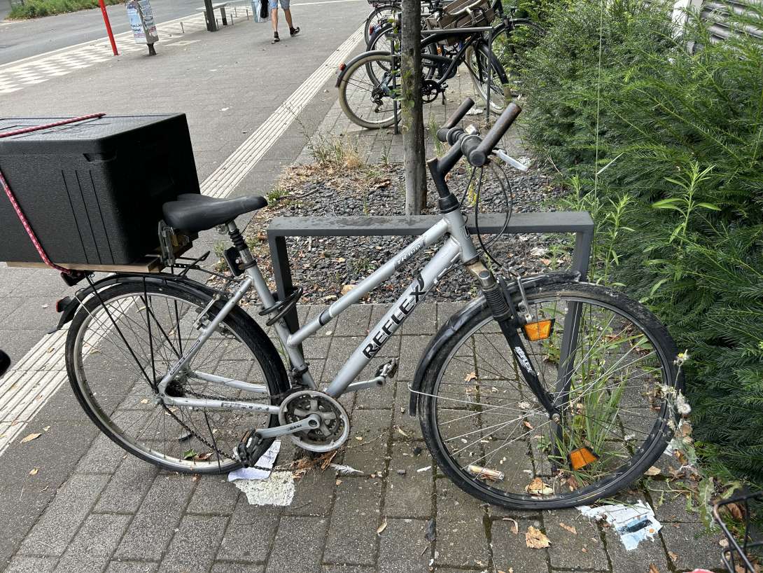 Bild zu gemeldetem Anliegen vom *2024-08-12 19:55:34