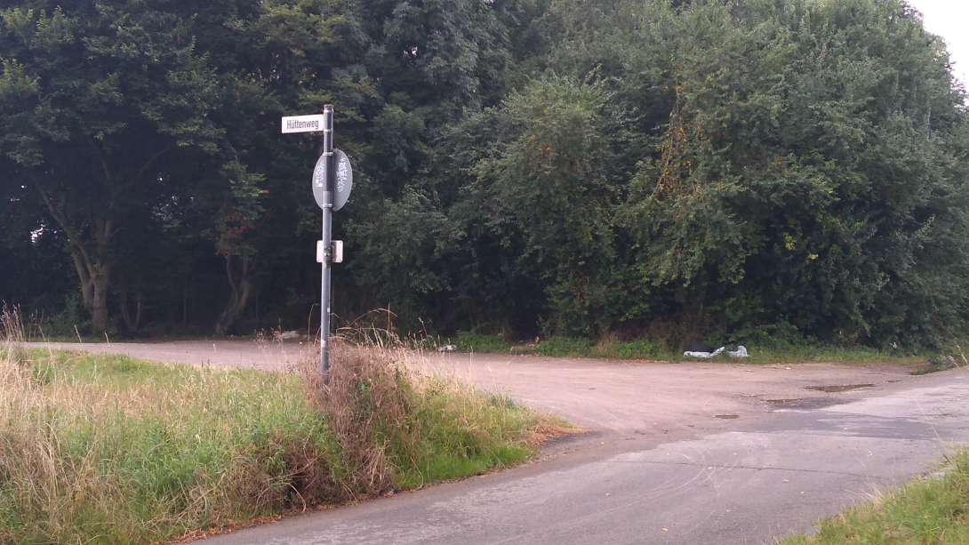 Bild zu gemeldetem Anliegen vom *2024-08-02 10:24:18