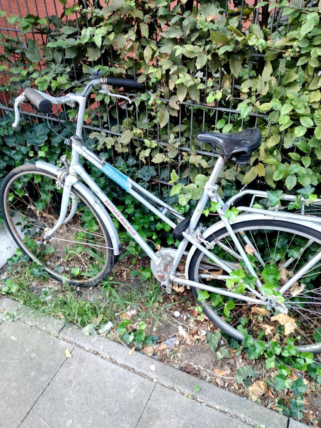 Bild zu gemeldetem Anliegen vom *2024-08-11 13:50:04