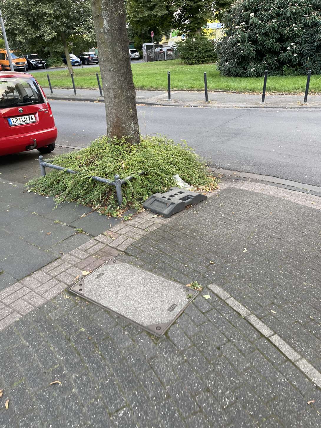 Bild zu gemeldetem Anliegen vom *2024-08-14 06:10:31