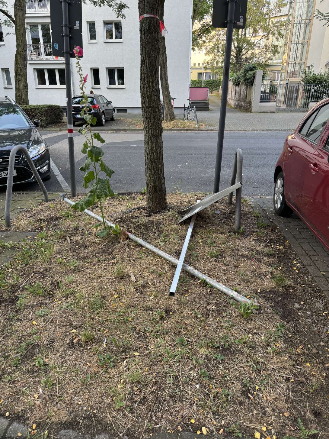 Bild zu gemeldetem Anliegen vom *2024-08-19 09:22:31