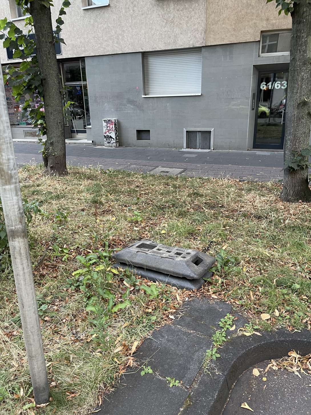 Bild zu gemeldetem Anliegen vom *2024-08-21 06:32:36