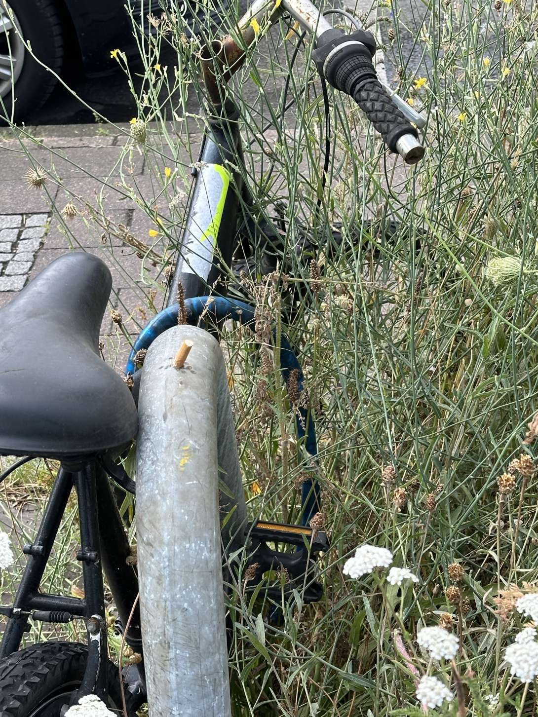 Bild zu gemeldetem Anliegen vom *2024-08-19 09:10:22