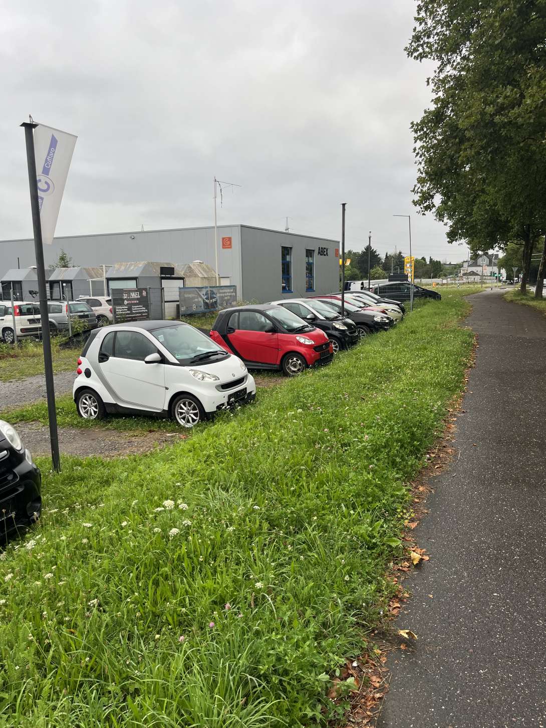 Bild zu gemeldetem Anliegen vom *2024-08-19 08:01:30