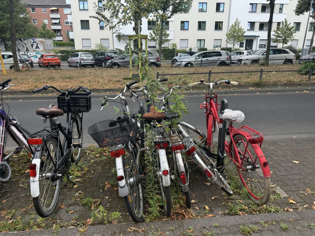 Bild zu gemeldetem Anliegen vom *2024-08-16 06:11:24