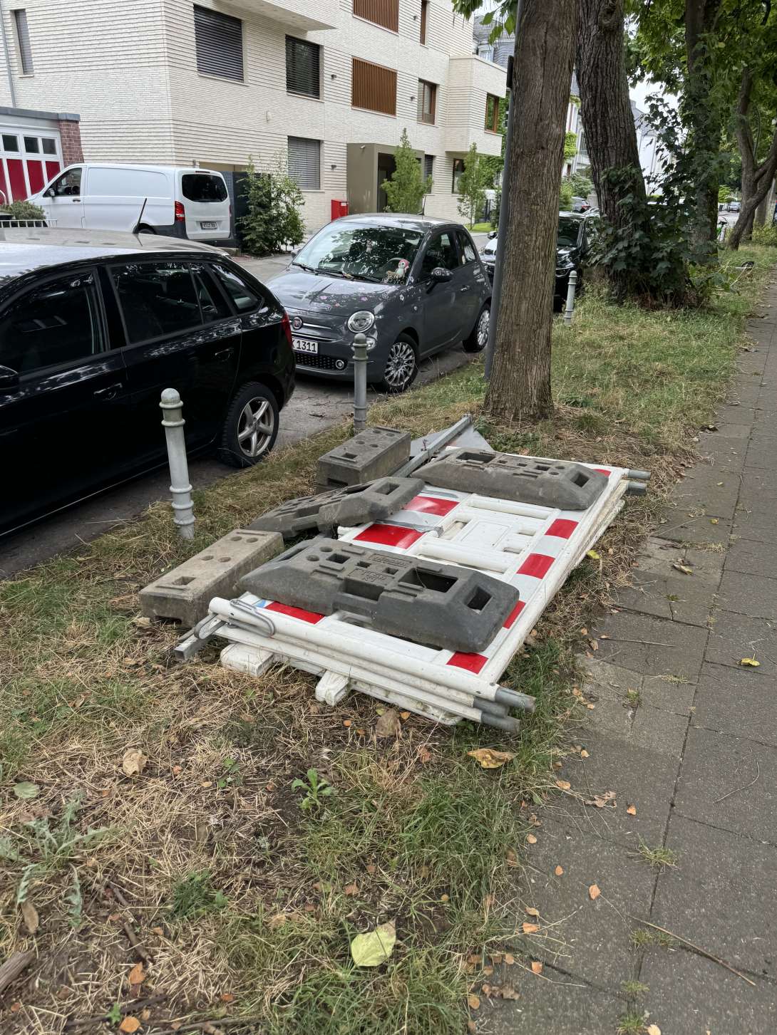 Bild zu gemeldetem Anliegen vom *2024-08-19 09:12:50