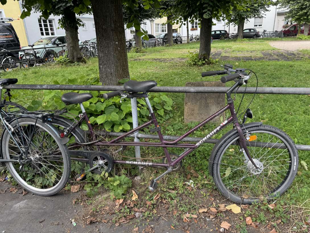 Bild zu gemeldetem Anliegen vom *2024-08-29 11:34:16