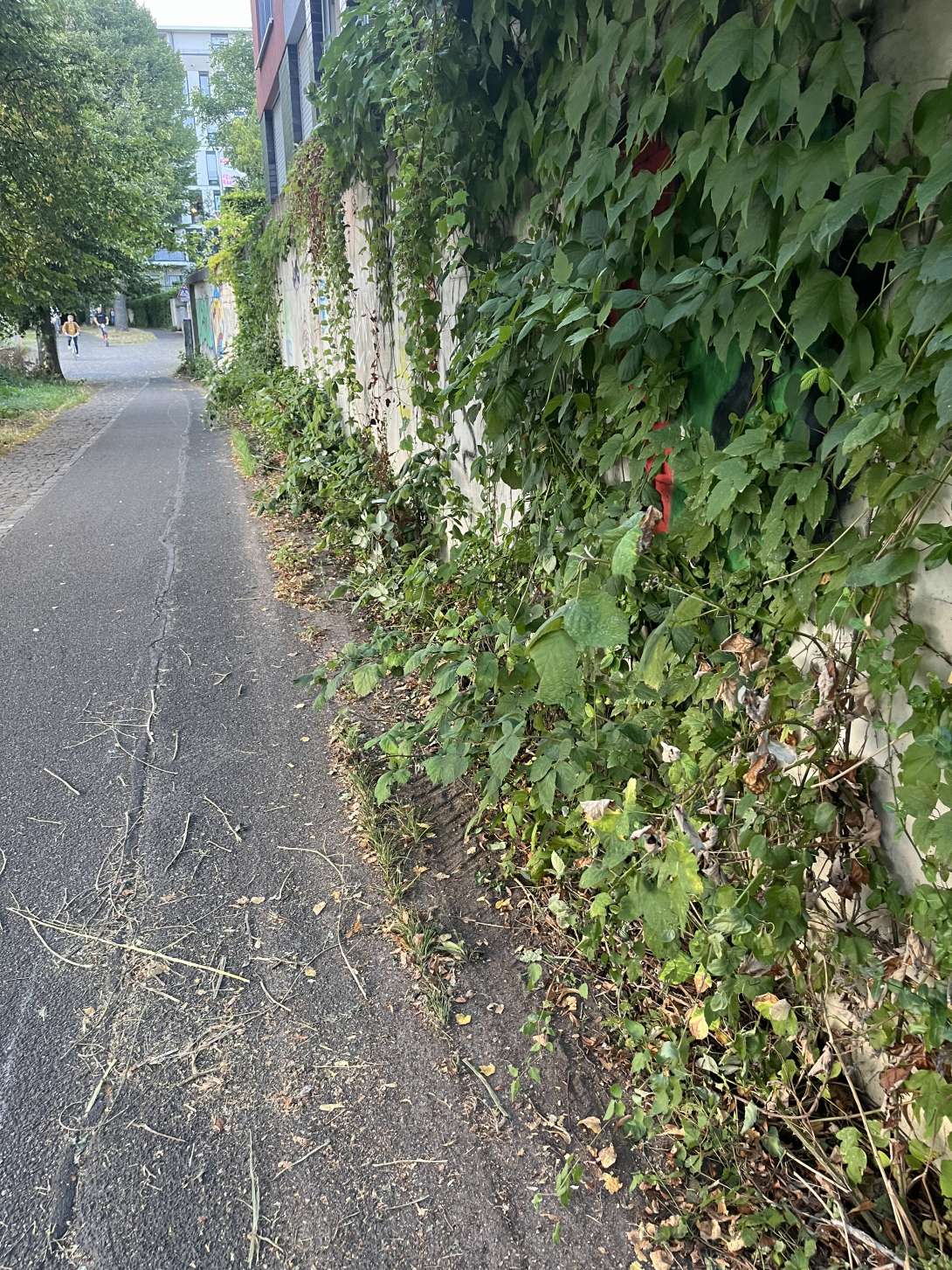 Bild zu gemeldetem Anliegen vom *2024-08-22 19:48:25