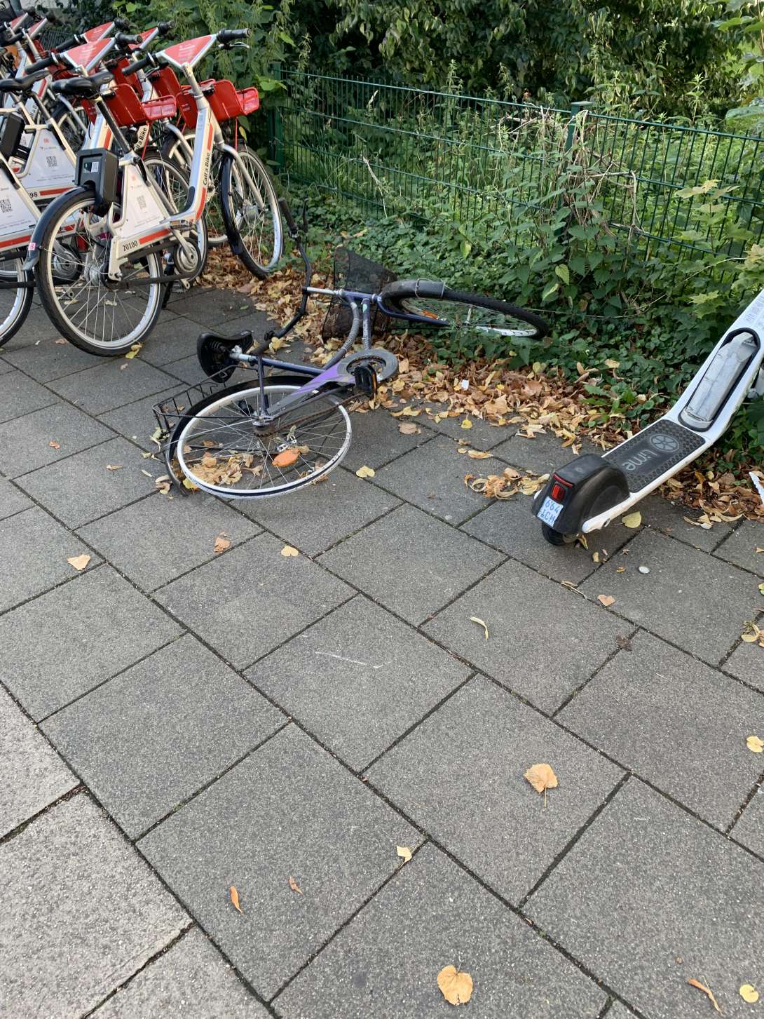 Bild zu gemeldetem Anliegen vom *2024-08-22 12:22:20