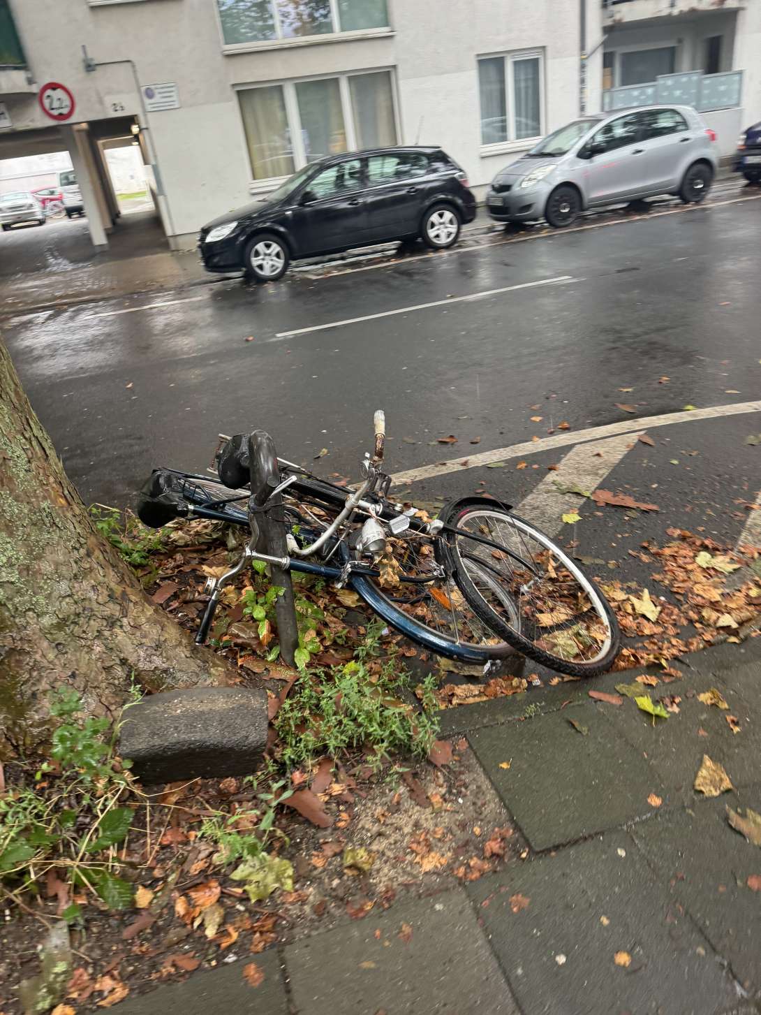 Bild zu gemeldetem Anliegen vom *2024-08-30 18:25:42