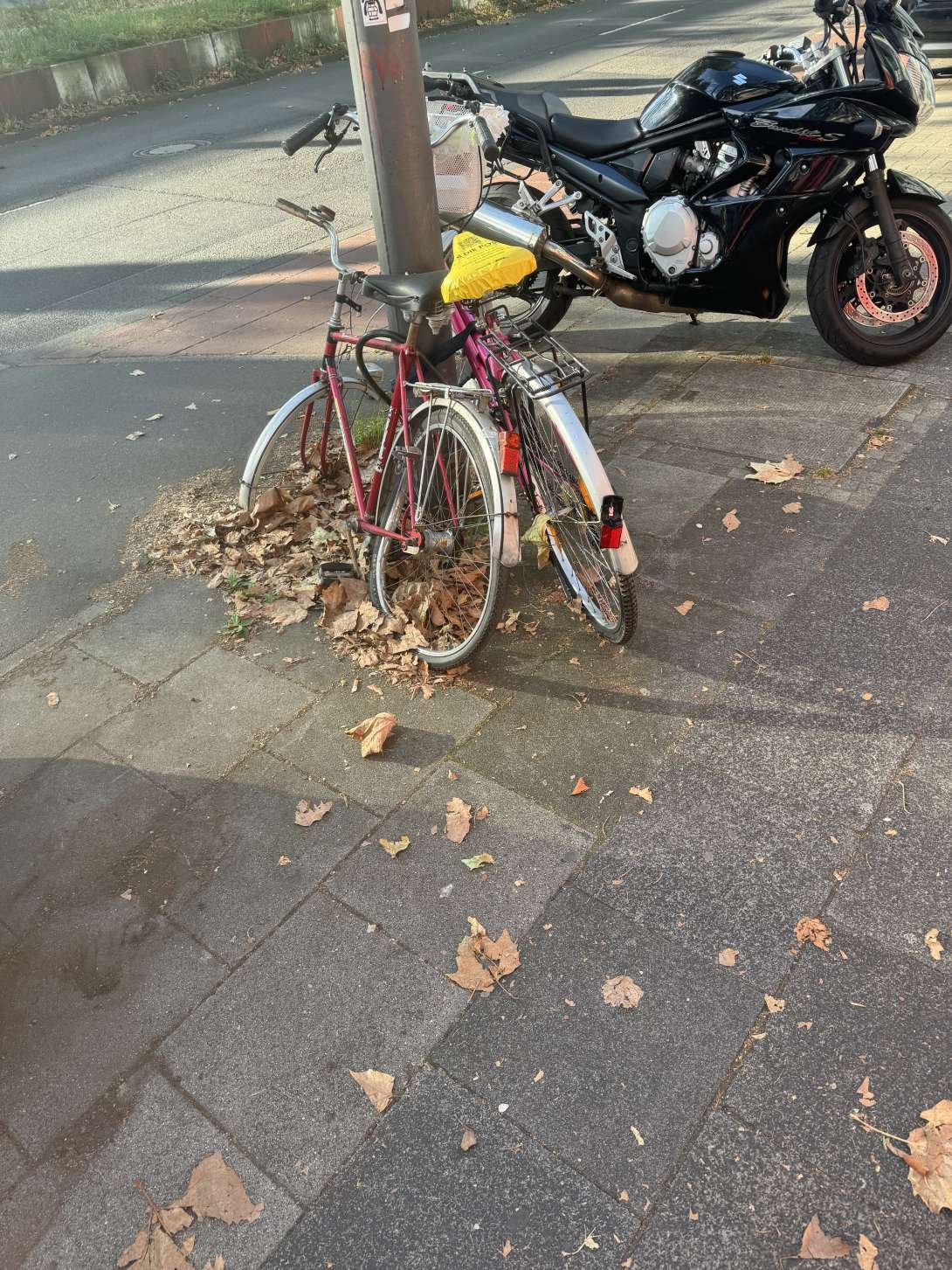 Bild zu gemeldetem Anliegen vom *2024-08-24 08:36:18