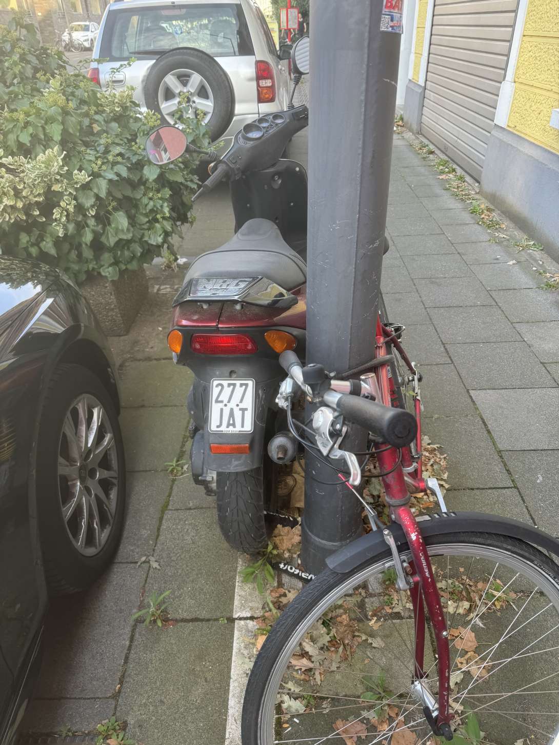 Bild zu gemeldetem Anliegen vom *2024-08-30 18:23:13