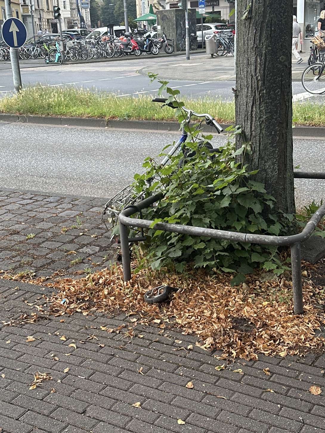 Bild zu gemeldetem Anliegen vom *2024-08-12 18:48:17