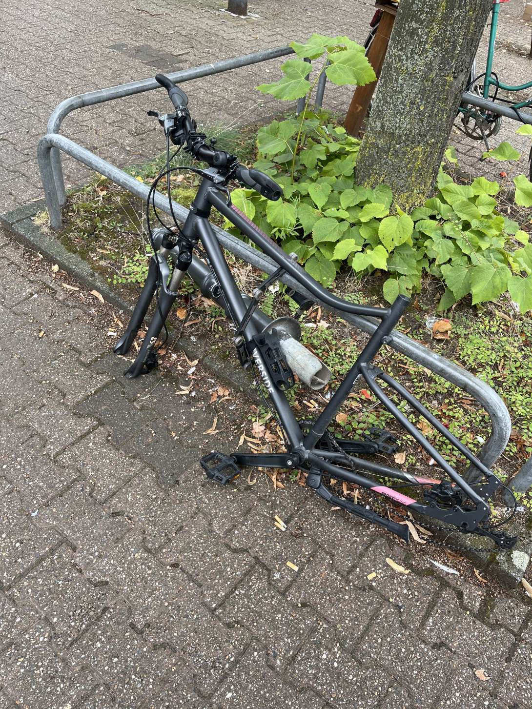 Bild zu gemeldetem Anliegen vom *2024-08-08 08:42:32