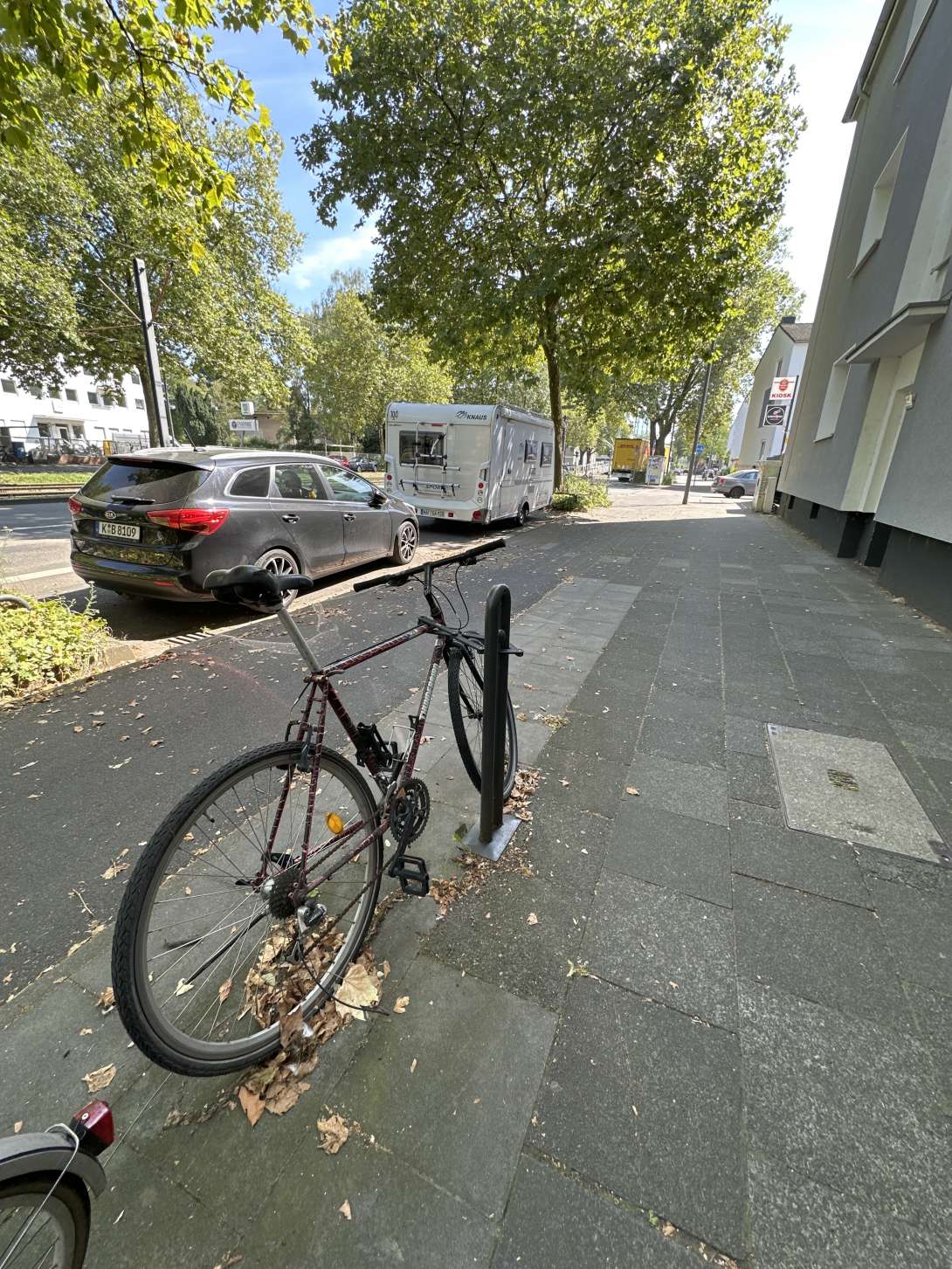 Bild zu gemeldetem Anliegen vom *2024-08-18 20:38:22