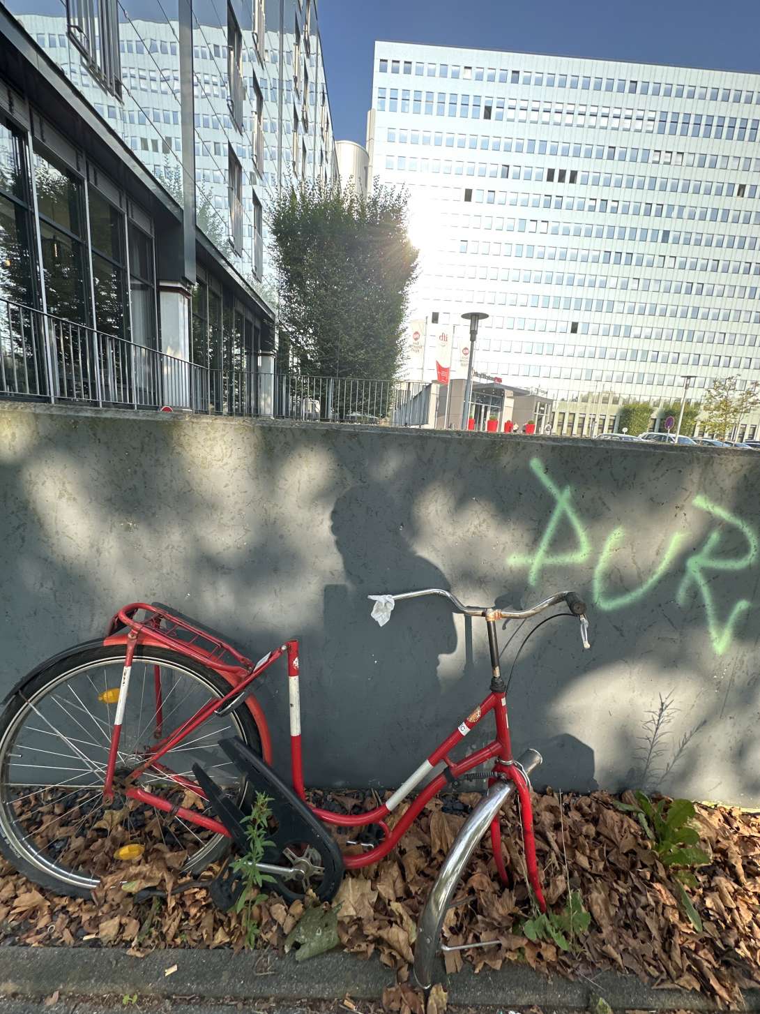 Bild zu gemeldetem Anliegen vom *2024-08-19 09:02:13