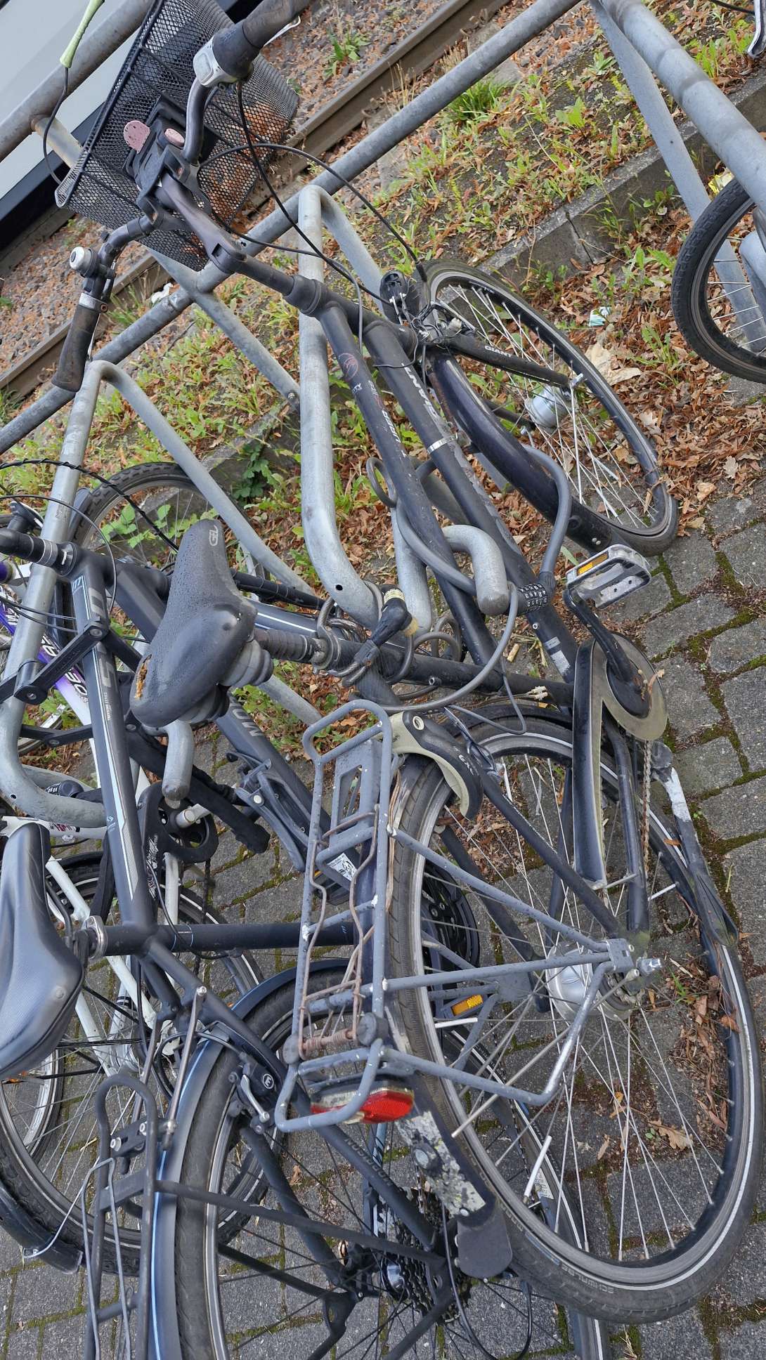 Bild zu gemeldetem Anliegen vom *2024-09-19 08:43:39