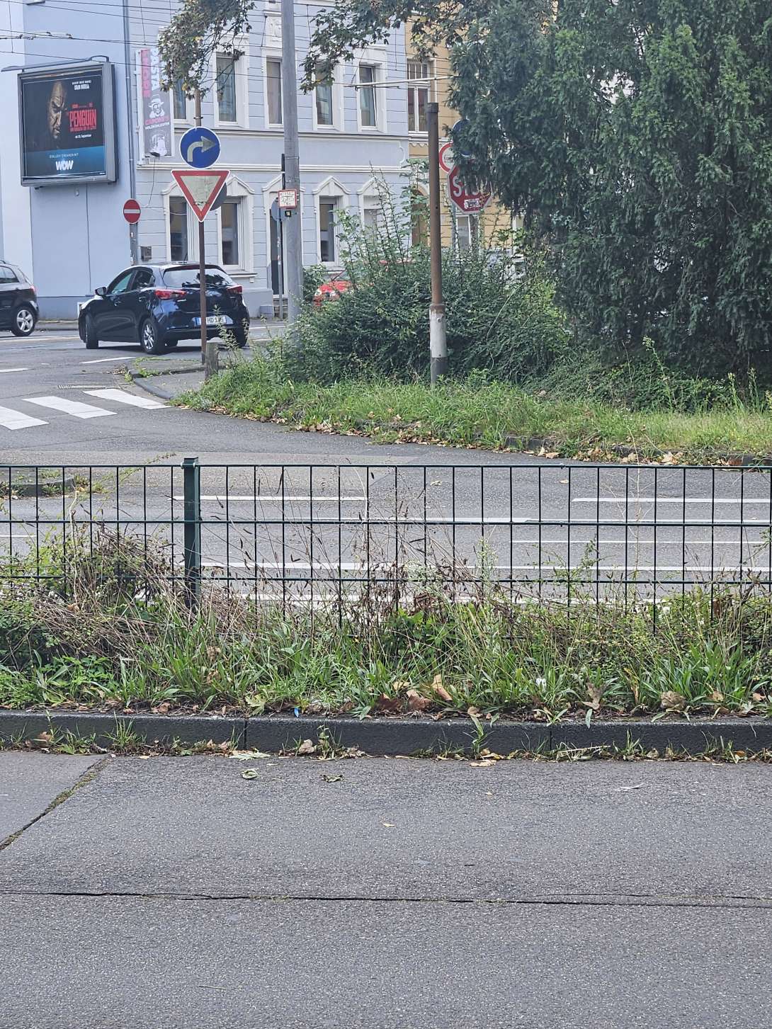 Bild zu gemeldetem Anliegen vom *2024-09-30 14:23:36