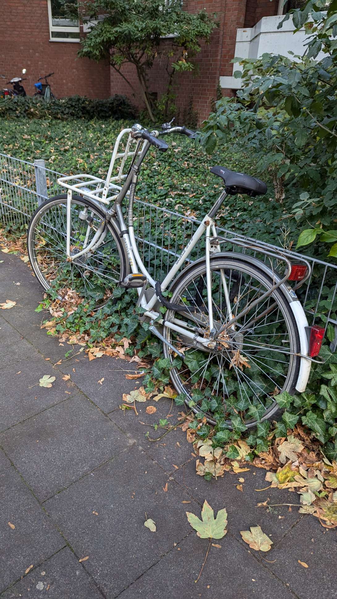 Bild zu gemeldetem Anliegen vom *2024-09-19 07:48:36