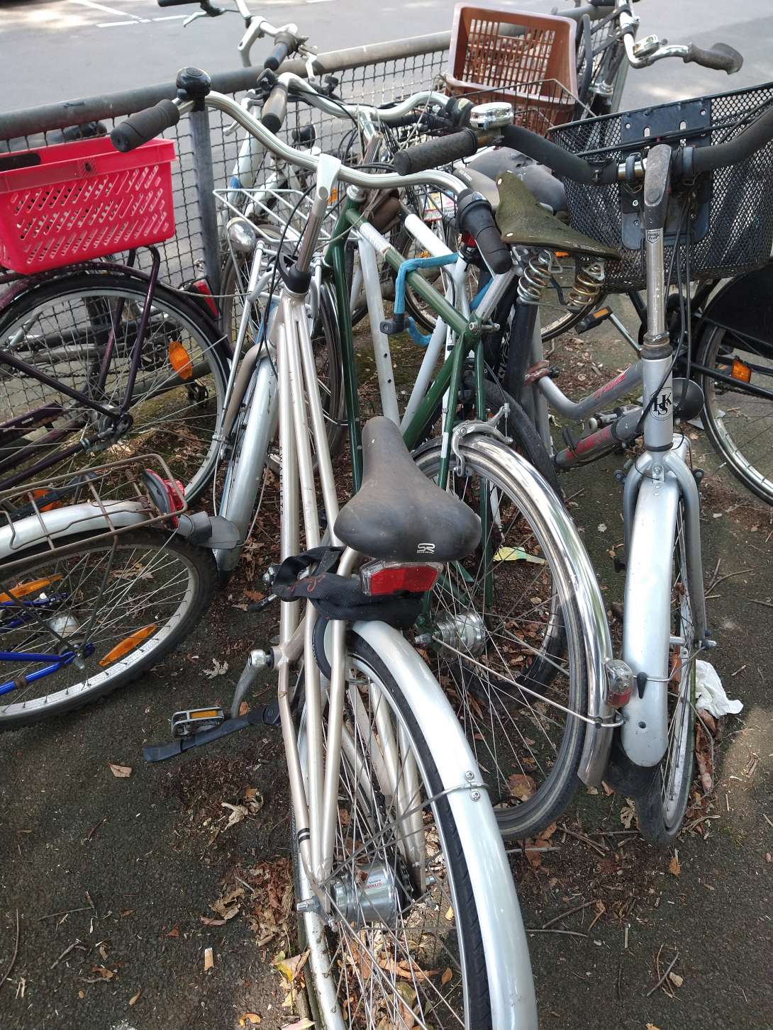 Bild zu gemeldetem Anliegen vom *2024-09-19 14:09:56