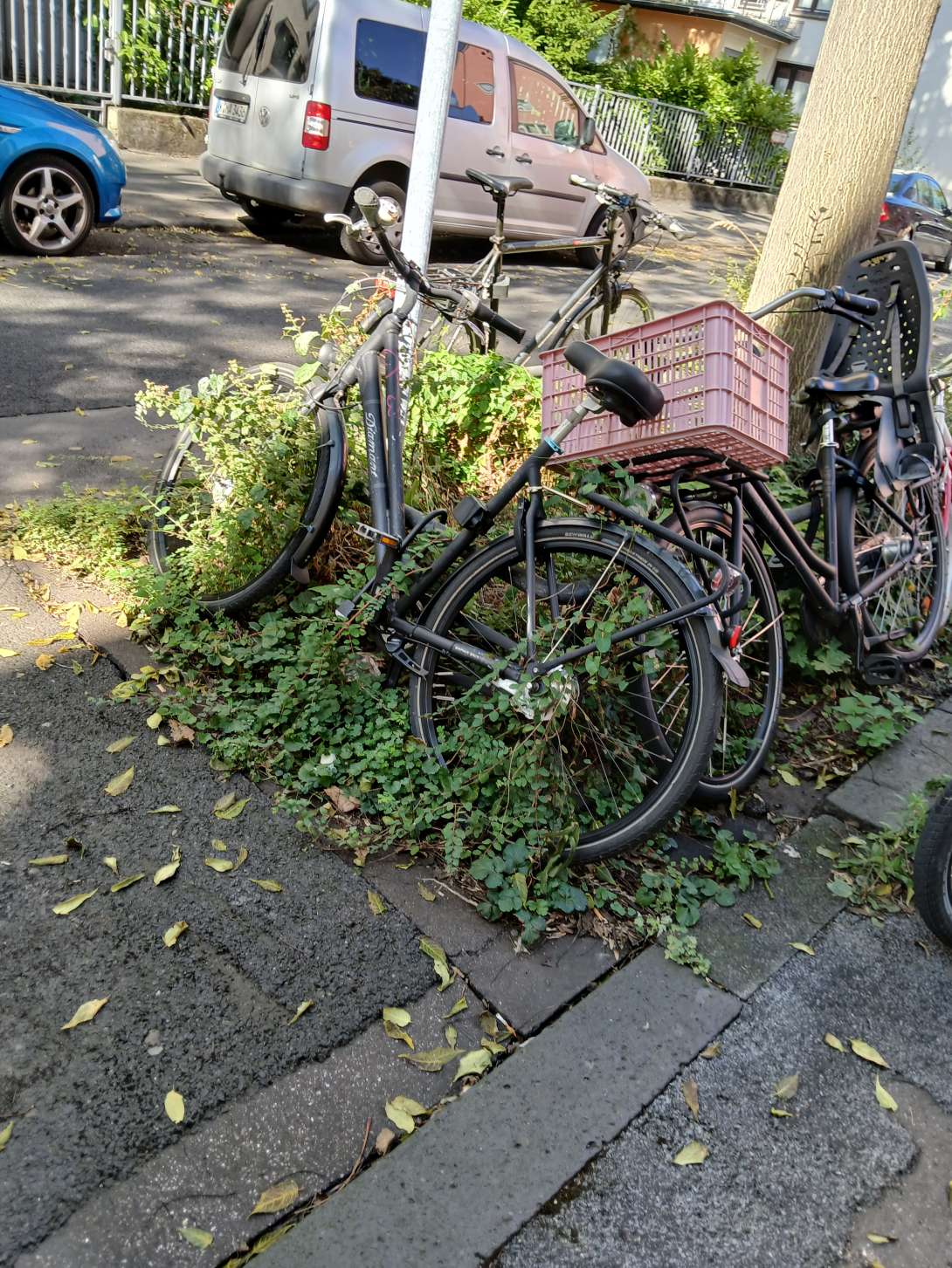 Bild zu gemeldetem Anliegen vom *2024-09-23 08:58:22