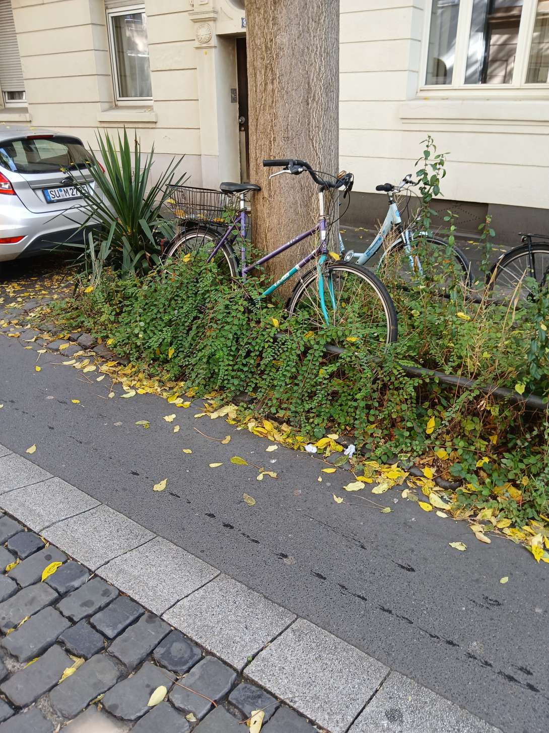 Bild zu gemeldetem Anliegen vom *2024-09-23 08:57:45