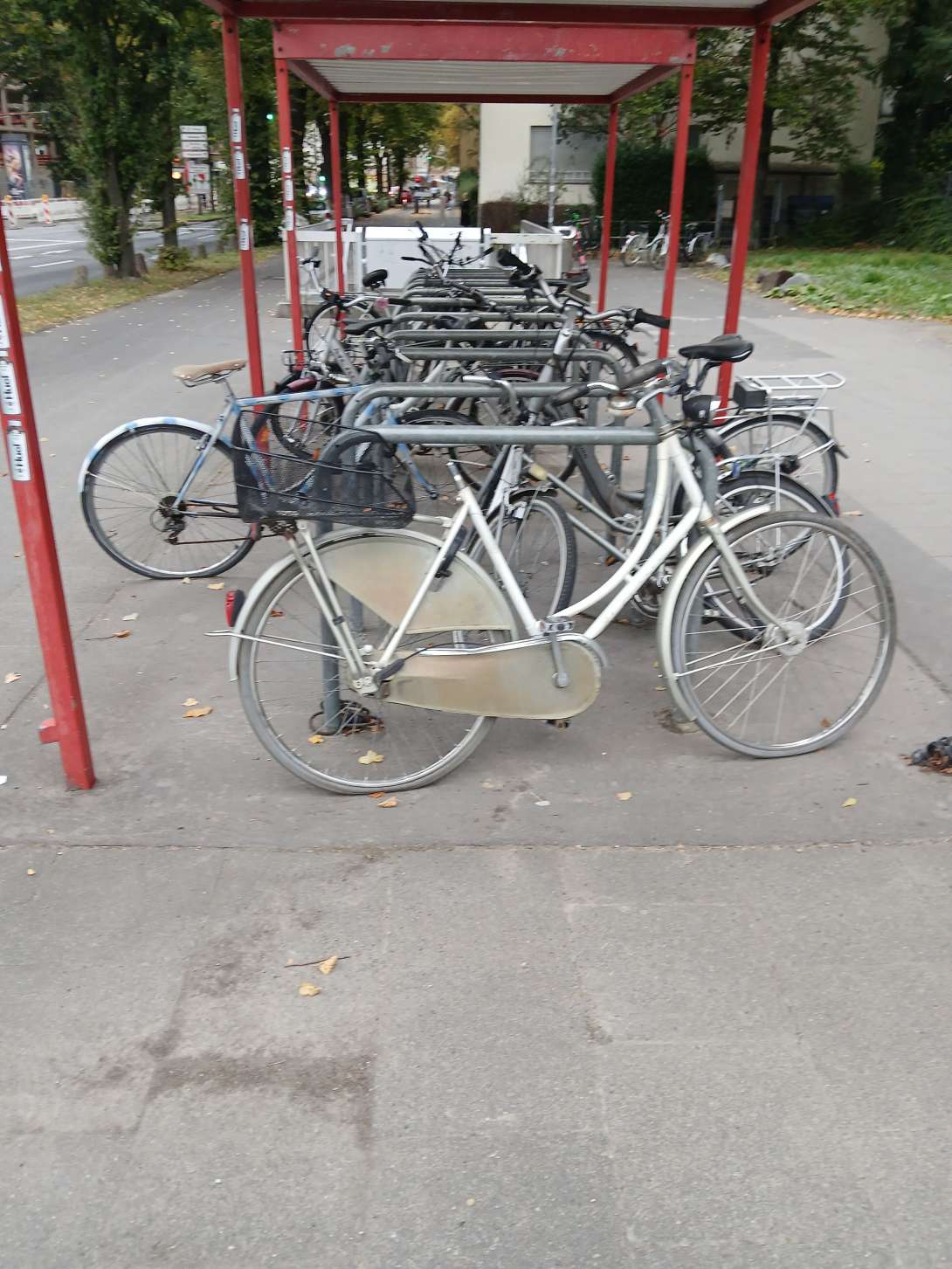 Bild zu gemeldetem Anliegen vom *2024-09-24 13:40:19
