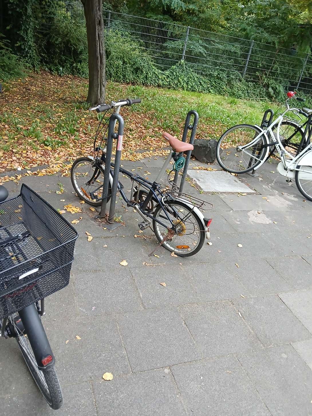 Bild zu gemeldetem Anliegen vom *2024-09-24 13:40:35
