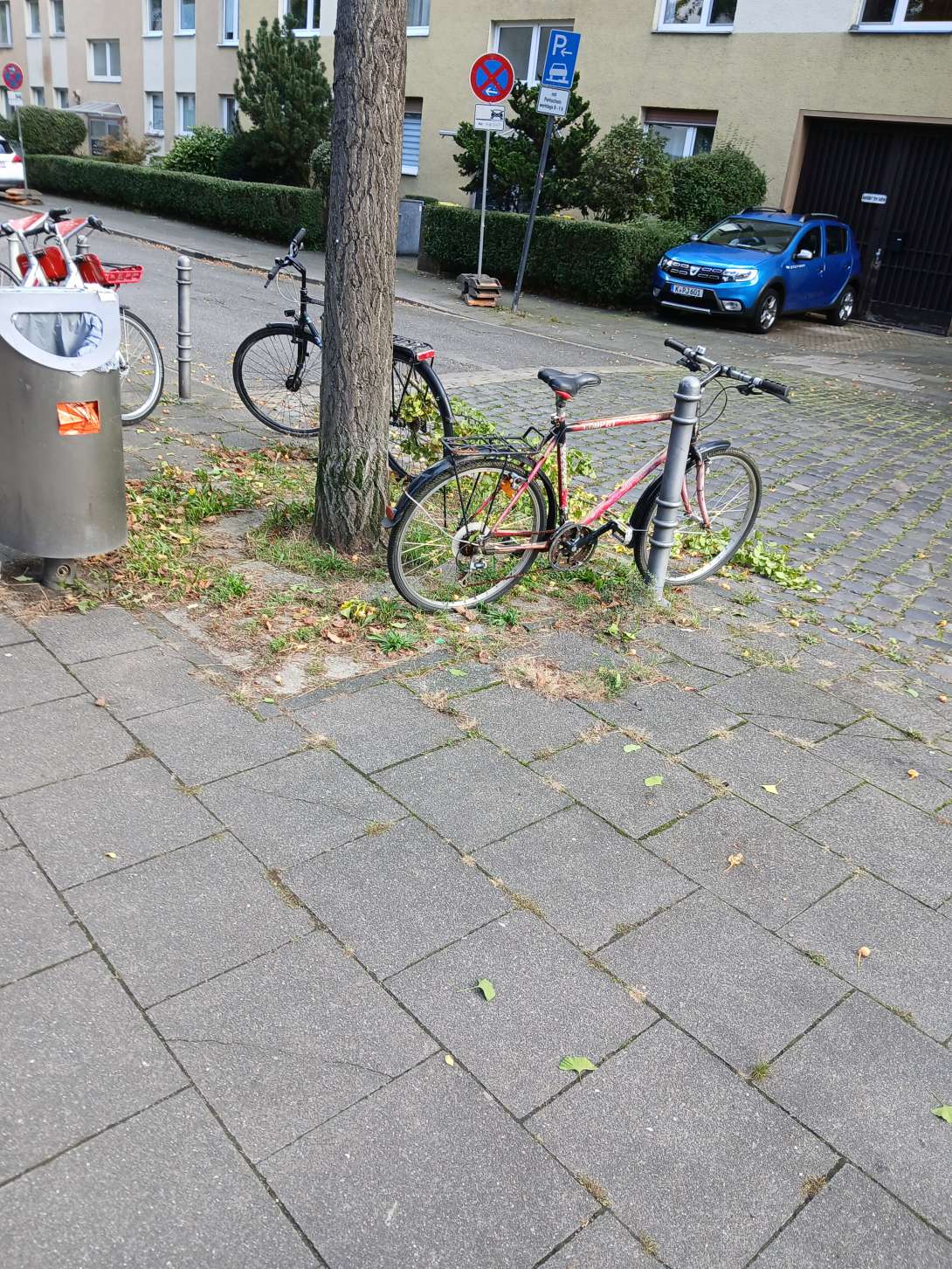Bild zu gemeldetem Anliegen vom *2024-09-30 13:26:54