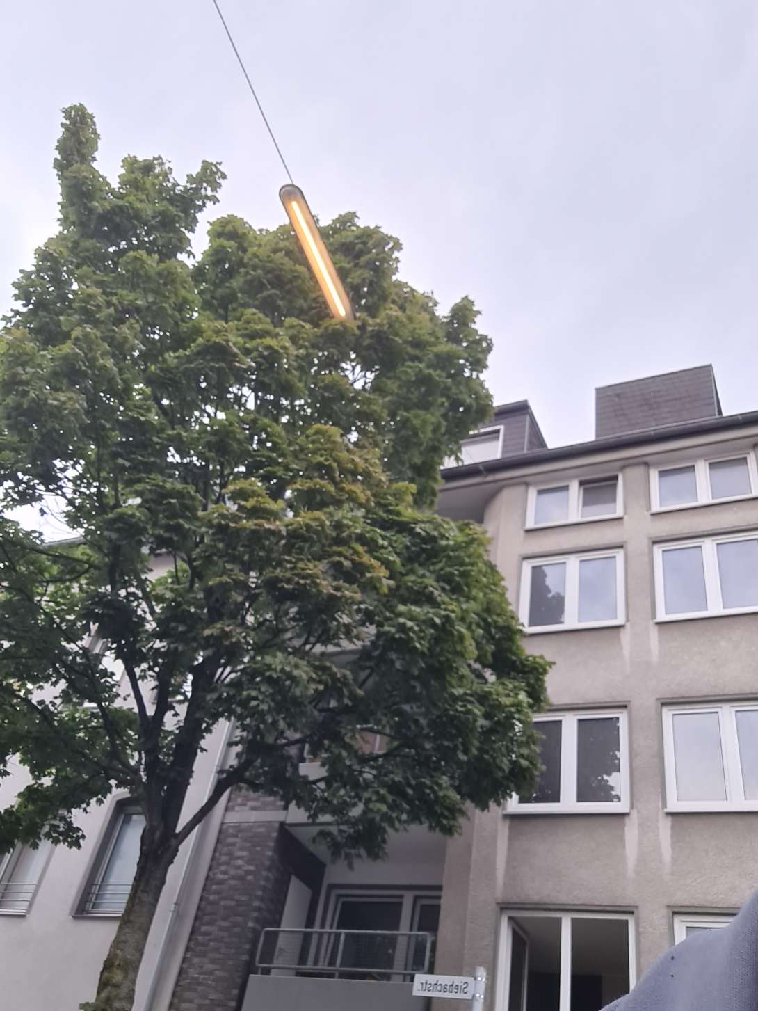 Bild zu gemeldetem Anliegen vom *2024-09-02 18:21:10