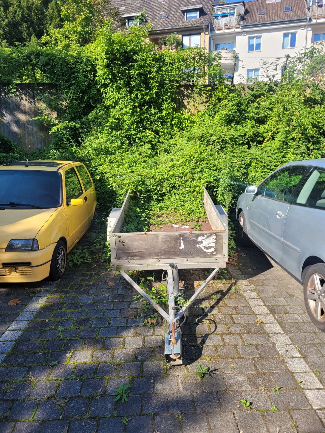 Bild zu gemeldetem Anliegen vom *2024-09-23 08:59:02