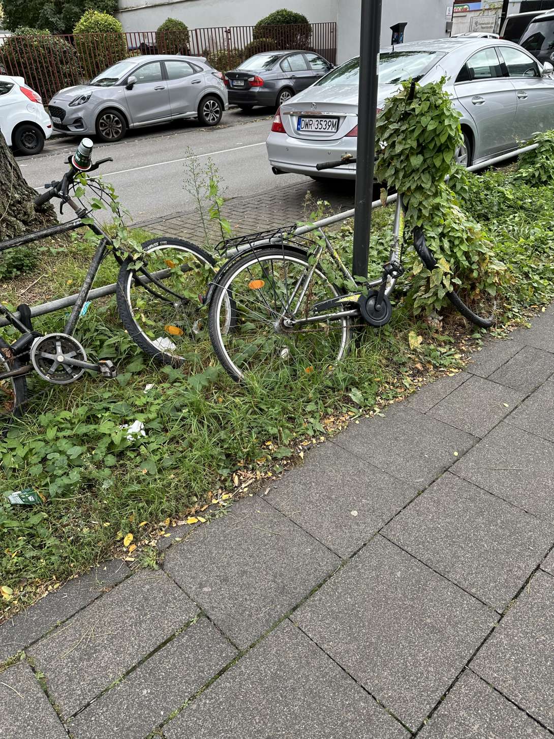 Bild zu gemeldetem Anliegen vom *2024-09-27 09:50:54