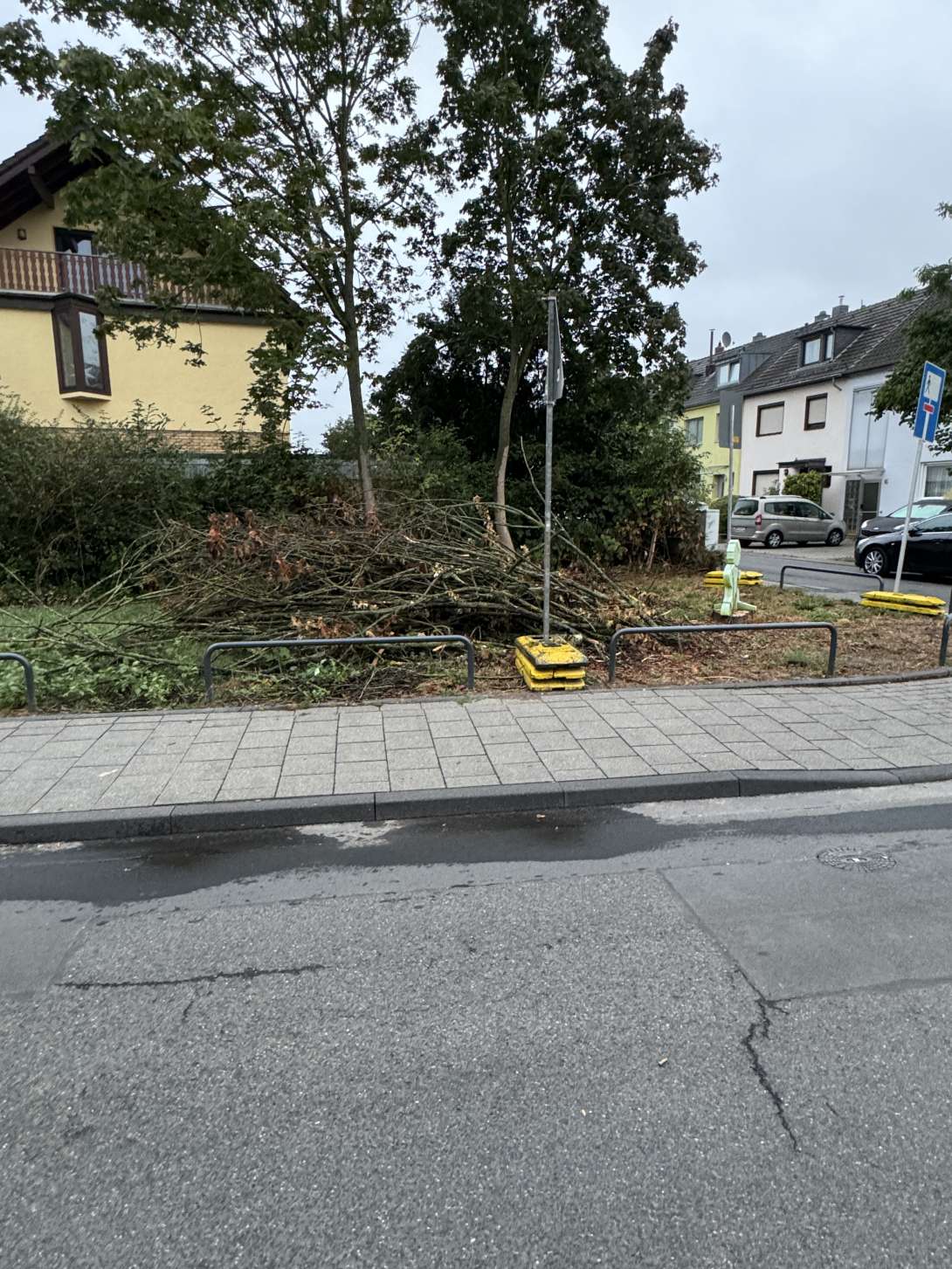 Bild zu gemeldetem Anliegen vom *2024-09-05 14:59:32