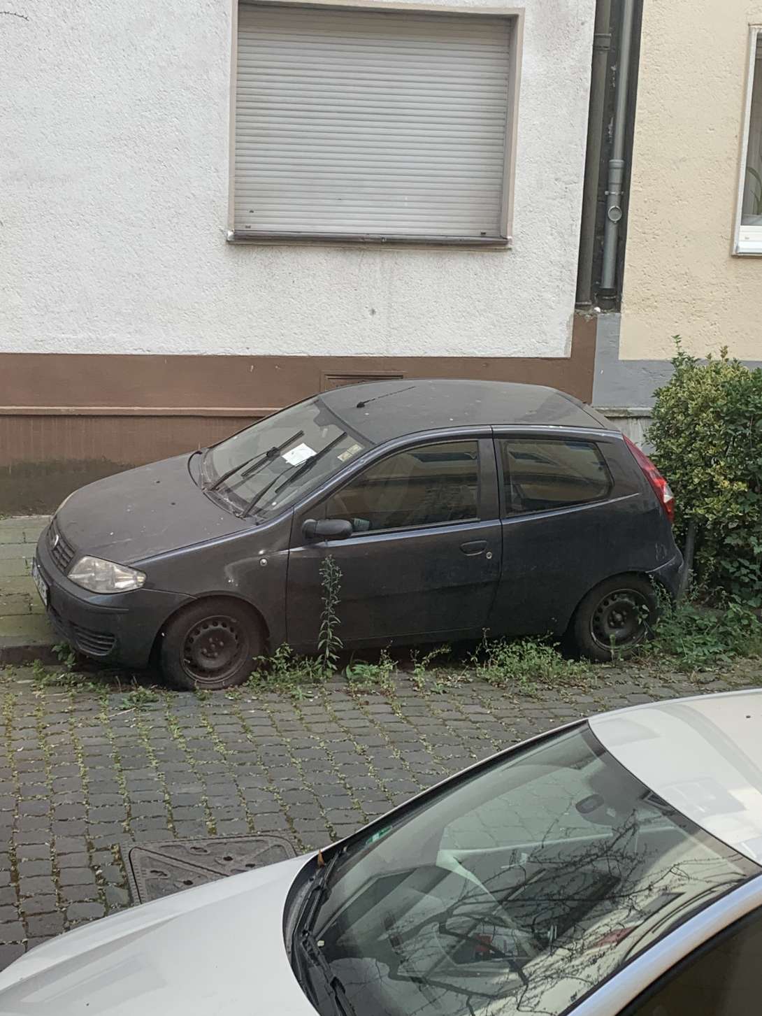 Bild zu gemeldetem Anliegen vom *2024-09-04 07:31:59