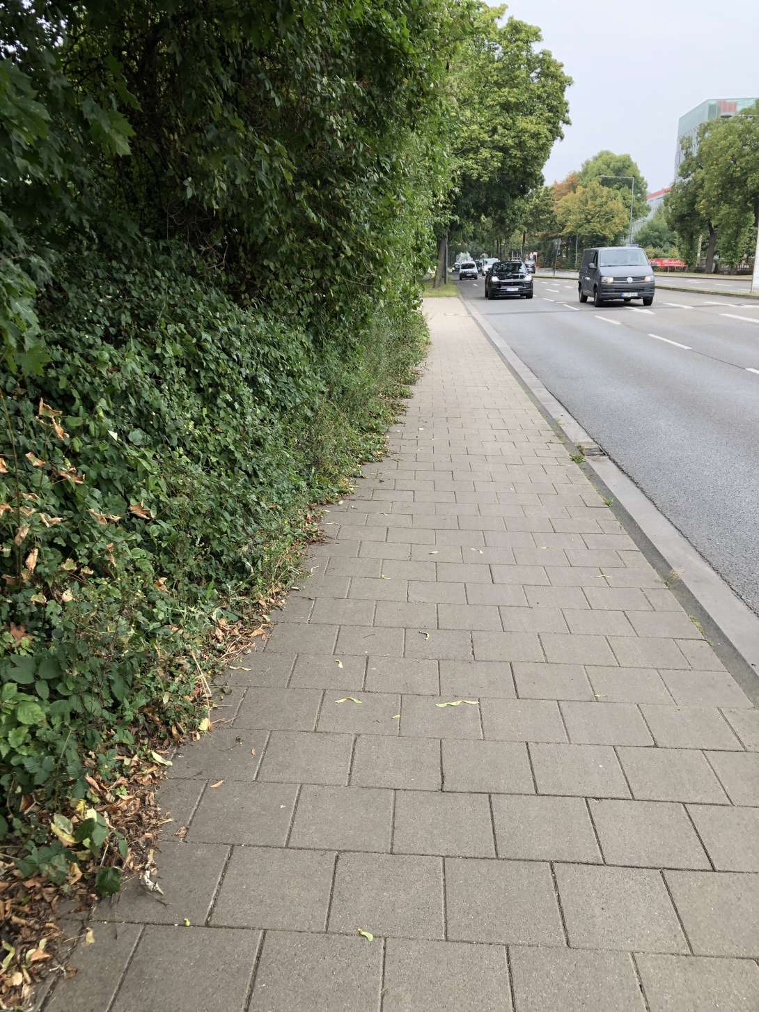 Bild zu gemeldetem Anliegen vom *2024-09-08 20:33:04
