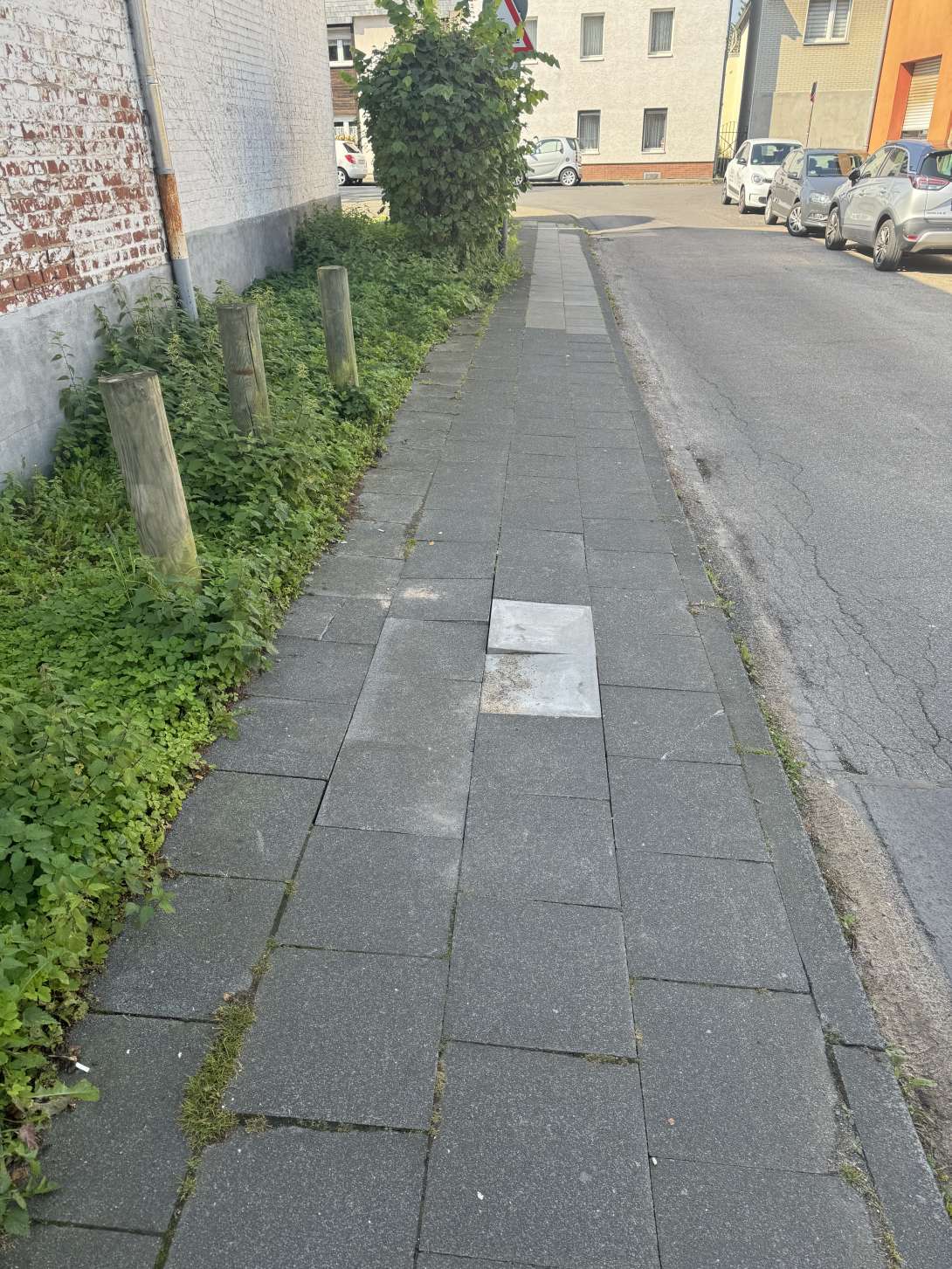 Bild zu gemeldetem Anliegen vom *2025-06-08 18:59:29