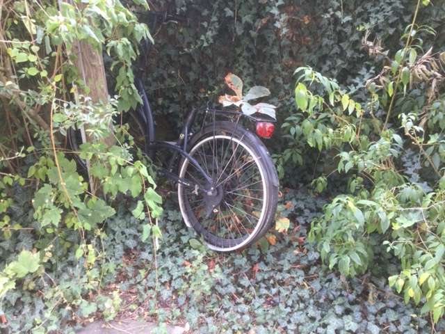 Bild zu gemeldetem Anliegen vom *2024-09-02 10:36:21