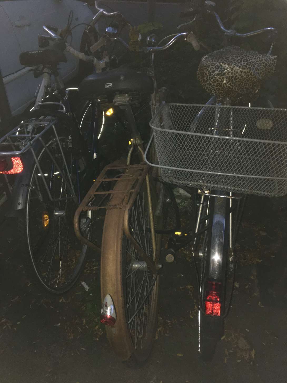 Bild zu gemeldetem Anliegen vom *2024-09-08 20:20:20