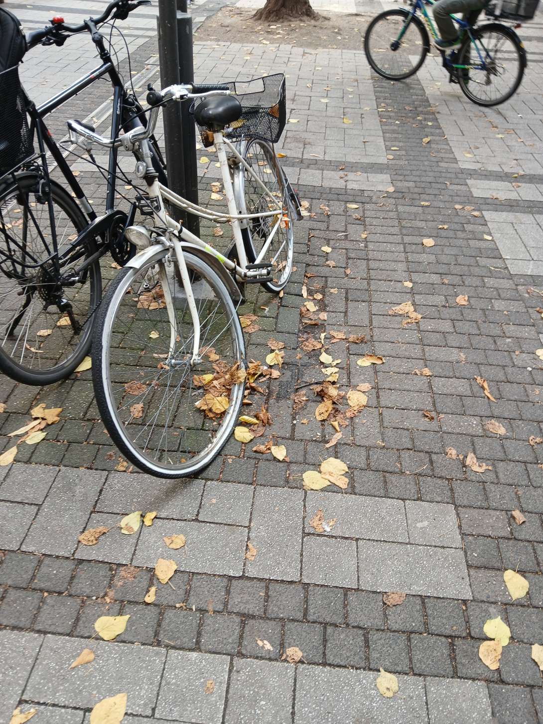 Bild zu gemeldetem Anliegen vom *2024-10-04 19:17:42
