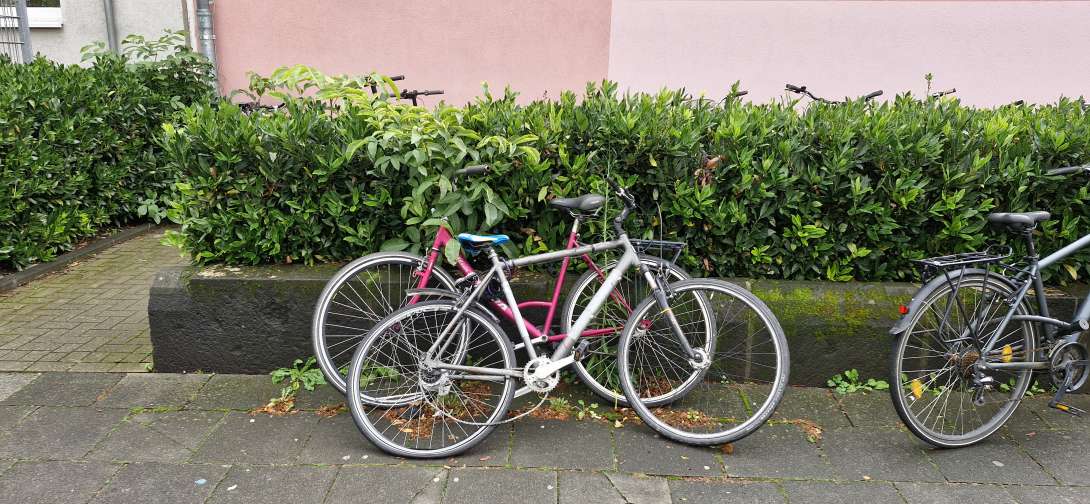 Bild zu gemeldetem Anliegen vom *2024-10-10 11:37:36