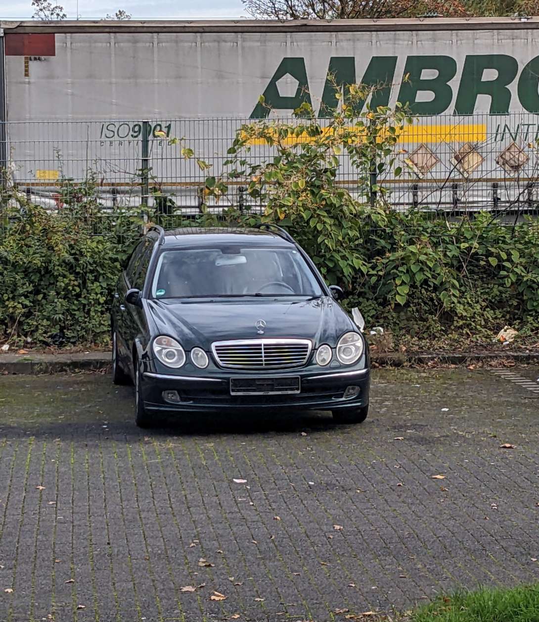 Bild zu gemeldetem Anliegen vom *2024-10-21 11:51:42