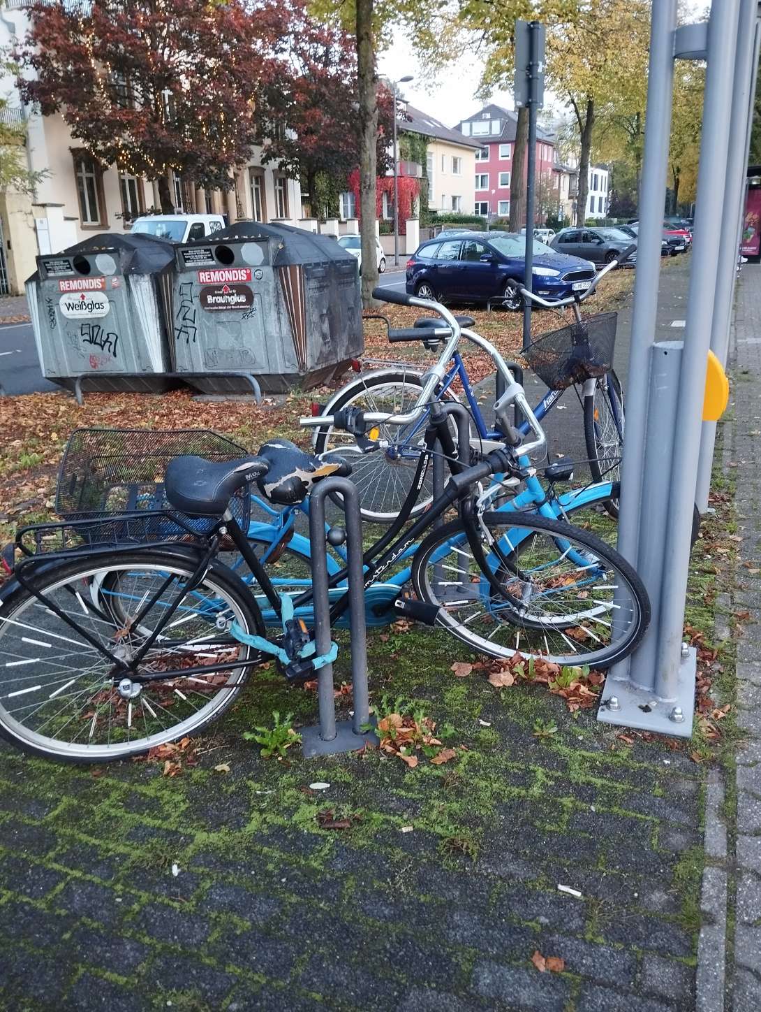 Bild zu gemeldetem Anliegen vom *2024-10-21 12:26:08