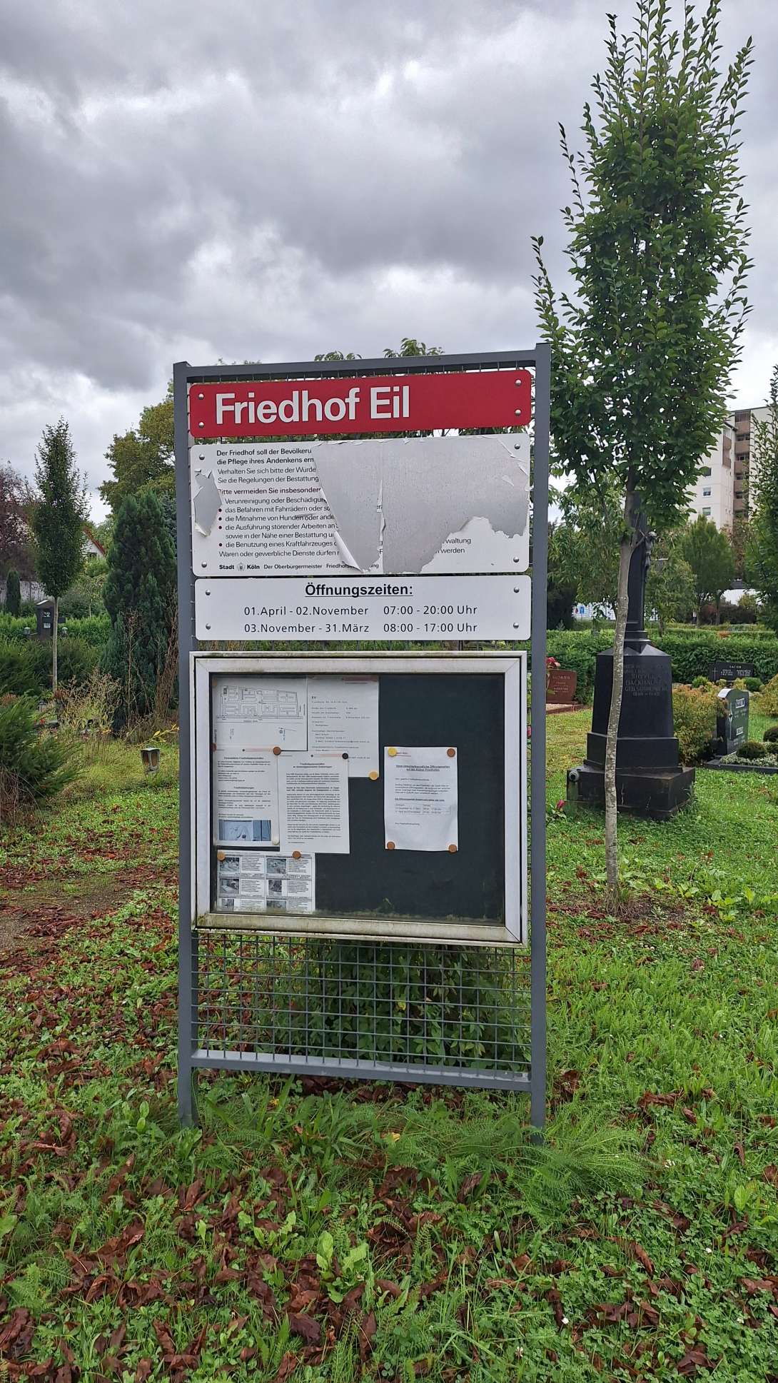 Bild zu gemeldetem Anliegen vom *2024-10-01 12:54:11
