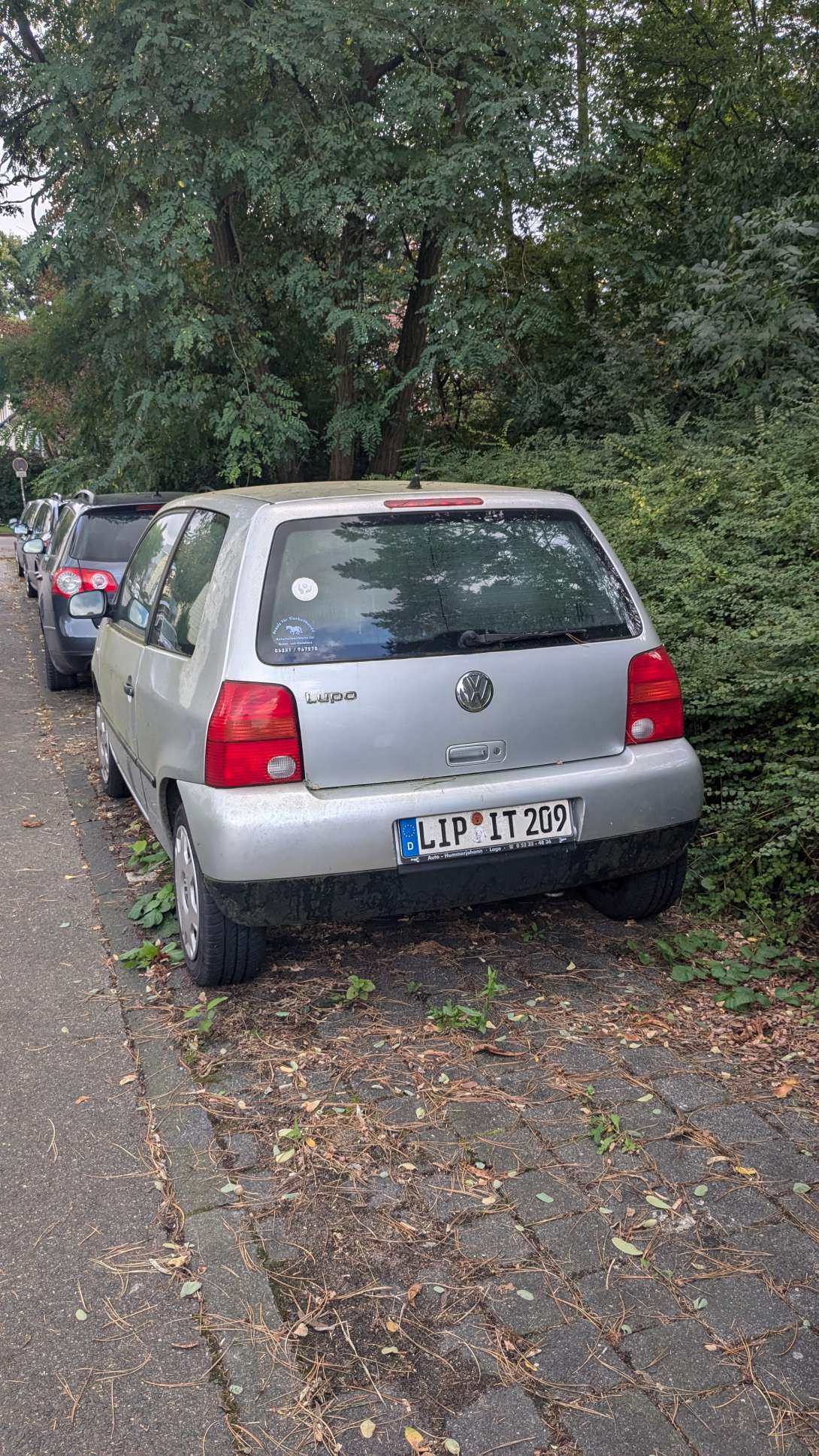 Bild zu gemeldetem Anliegen vom *2024-10-04 10:21:03