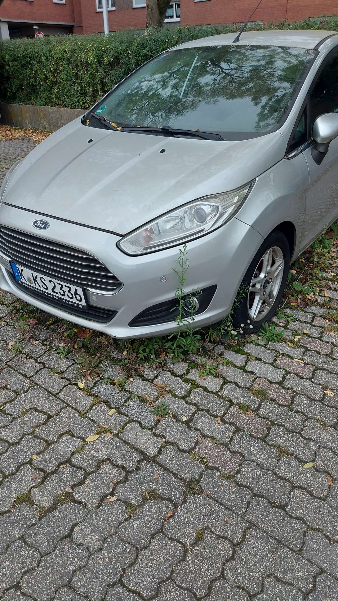 Bild zu gemeldetem Anliegen vom *2024-10-01 10:54:57
