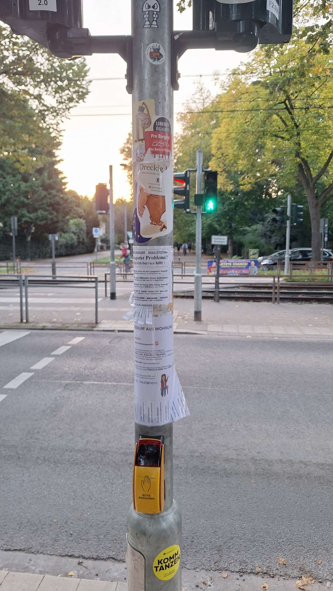 Bild zu gemeldetem Anliegen vom *2024-10-08 18:39:56