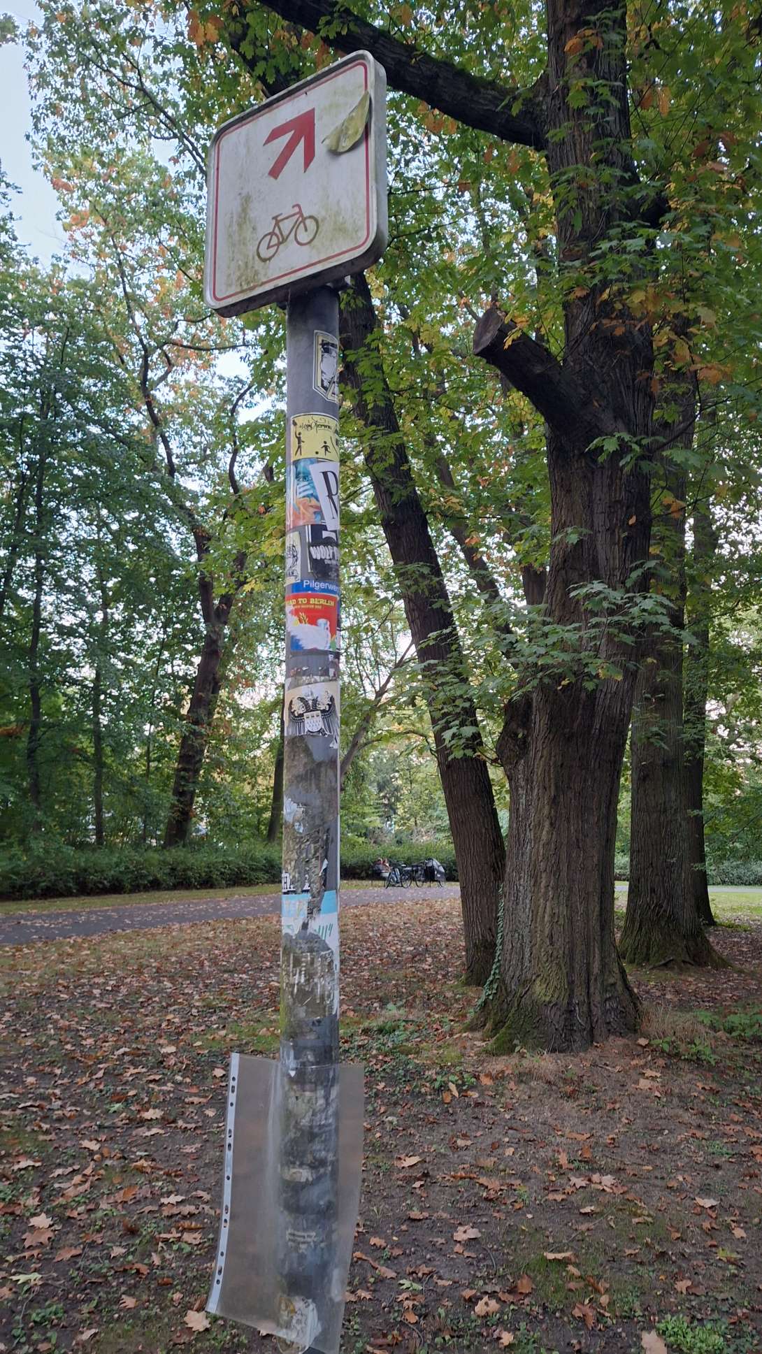 Bild zu gemeldetem Anliegen vom *2024-10-10 10:54:07