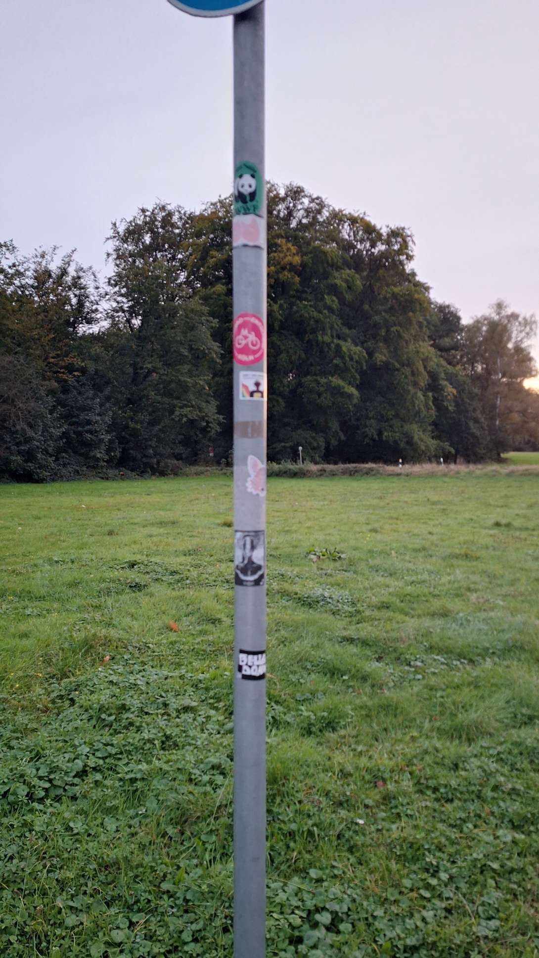 Bild zu gemeldetem Anliegen vom *2024-10-10 10:54:57